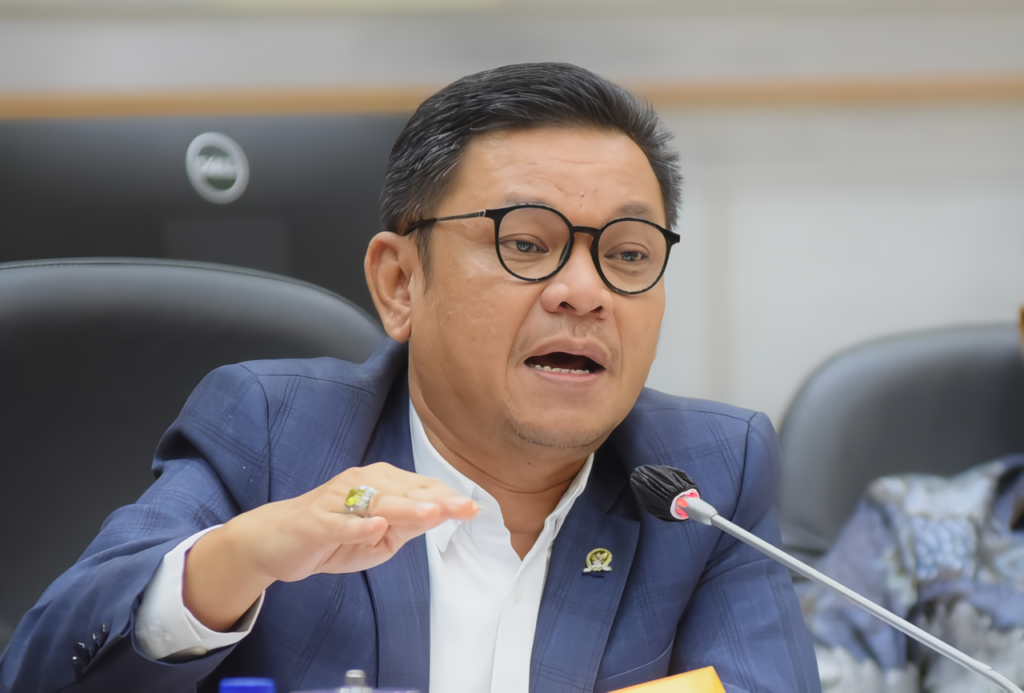 Wakil Ketua Komisi VIII DPR RI Tubagus Ace Hasan Syadzily. Foto: Runi/Man.